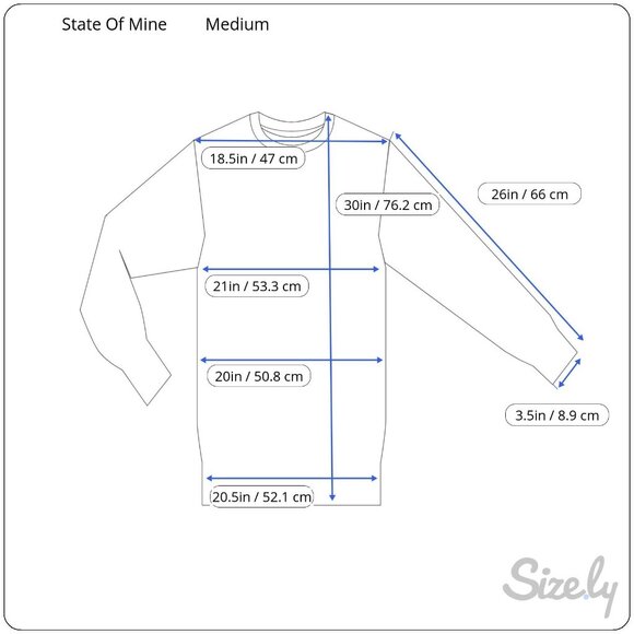 Texas Graphic Women's Purple Long Sleeve Shirt "The Lone Star State" NWT - Picture 2 of 4